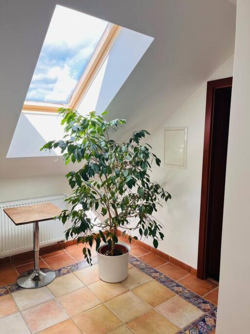 Apartman Se Zahradou 20 Minut Do Centra Prahy Ořech Extérieur photo